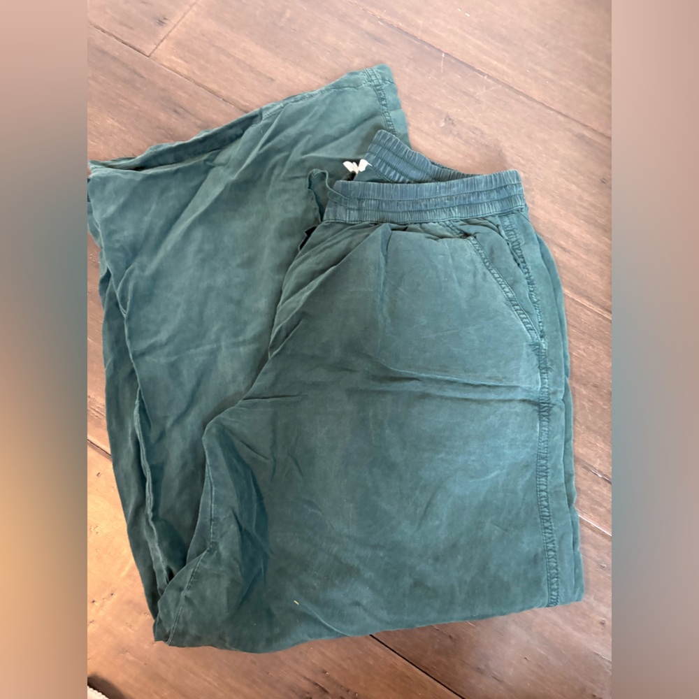 Green Aerie Soft Pants